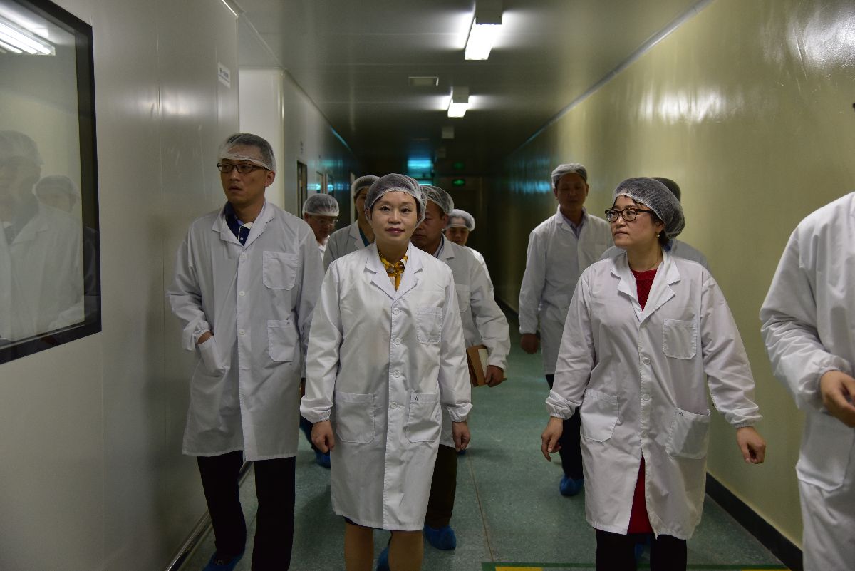 龙华区区委常委、常务副区长张纳沙率队莅临国药致君检查指导1.jpg